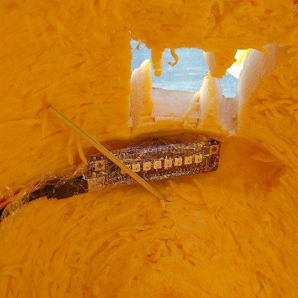 inside pumpkin.jpg